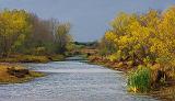 Formosa-Tejano Wetlands_31668